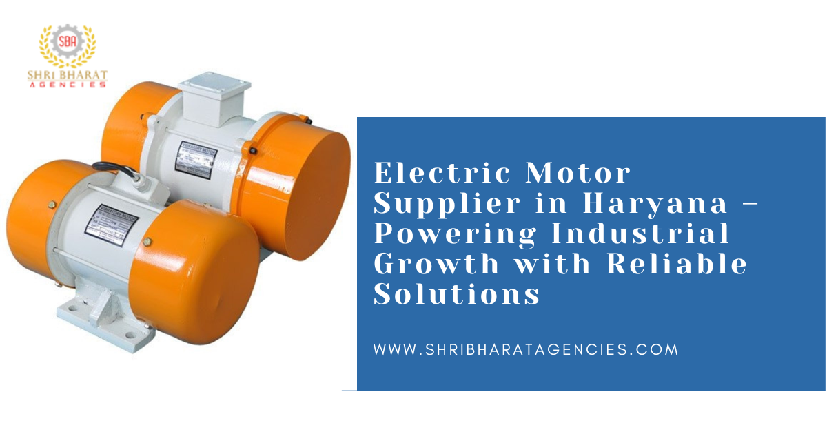 Electric Motor Supplier in Haryana – Powering Industrial Growth with Reliable Solutions